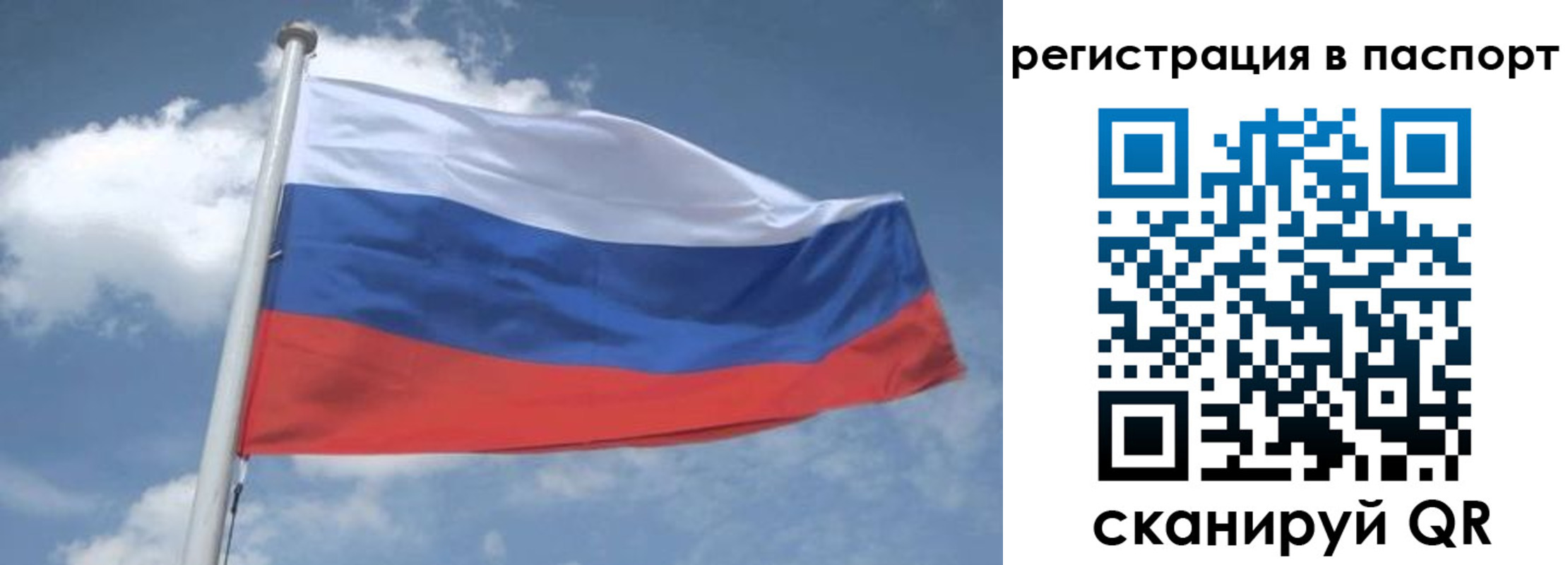 временная регистрация надежно в Рязанской области